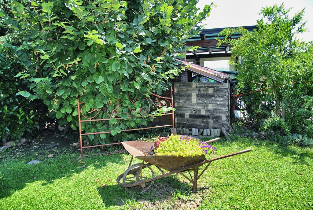 La Corte Del Macero ξενώνας Castelfranco Emilia Εξωτερικό φωτογραφία